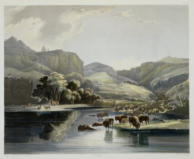 Manadas de bisontes y alces en el Alto Missouri, placa 47 del Volumen 2 de 