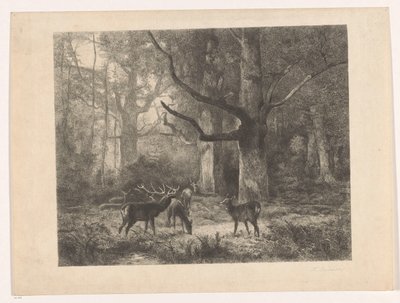 Ciervo en un bosque de Karl Bodmer