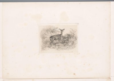 Hindú en el bosque Paisajes con animales (título de serie) de Karl Bodmer
