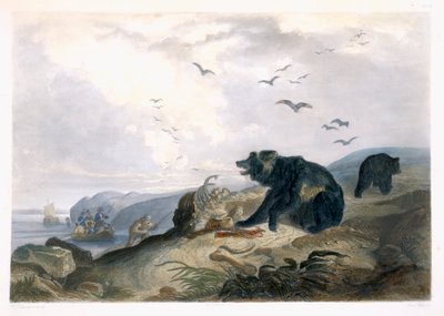 Caza del oso grizzly, lámina 36 del Volumen 2 de 