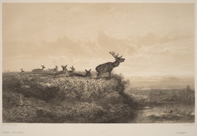 La mañana de Karl Bodmer