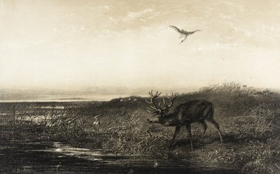  de Karl Bodmer