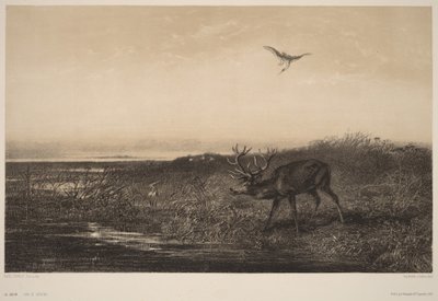  de Karl Bodmer