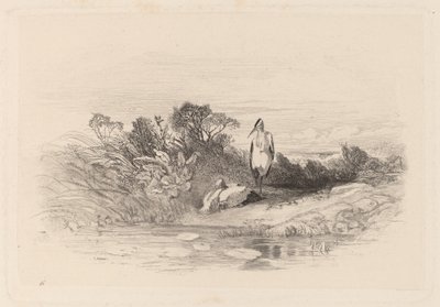 Los dos garzas de Karl Bodmer