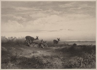 Las ciervas de Karl Bodmer