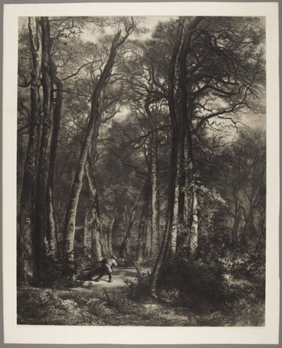  de Karl Bodmer