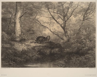  de Karl Bodmer