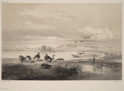  de Karl Bodmer