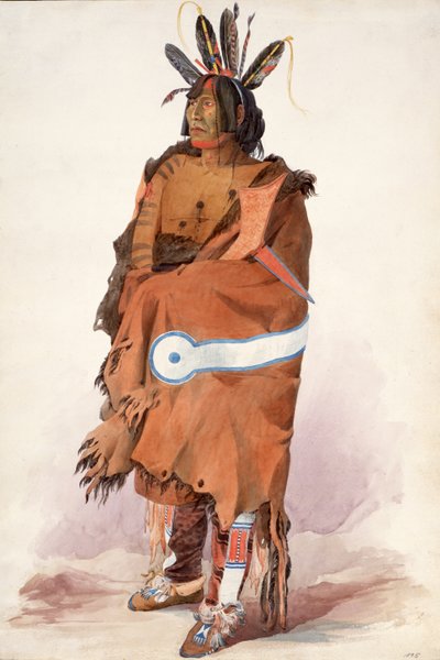  de Karl Bodmer