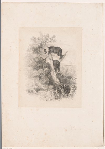 Dos osos en un árbol Paisajes con animales (título de serie) de Karl Bodmer