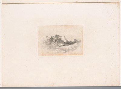 Dos garzas en el paseo marítimo Paisajes con animales (título de serie) de Karl Bodmer