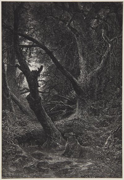  de Karl Bodmer