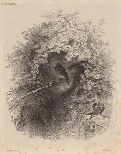 Un refugio de Karl Bodmer