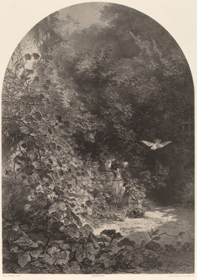 Un rincón del jardín de Karl Bodmer