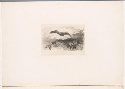 Águila volando Paisajes con animales (título de serie) de Karl Bodmer