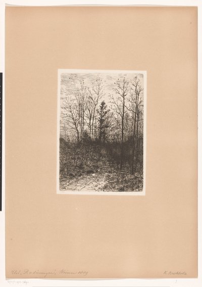vista al bosque de Karl Buchholz