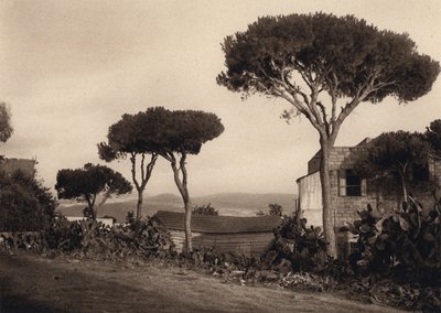 Líbano, paisaje (foto en blanco y negro) de Karl Grober