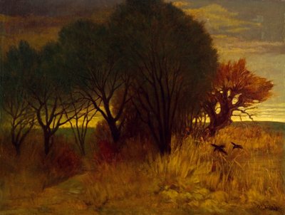 paisaje de páramos de Karl Haider