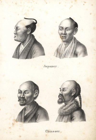 Bustos de hombres japoneses con peinado chonmage y hombres chinos con barba, uno de ellos con coleta. Litografía de Karl Joseph Brodtmann de la Historia natural ilustrada de hombres y animales de Heinrich Rudolf Schinz. de Karl Joseph Brodtmann