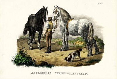Caballo de mina inglés, 1824 de Karl Joseph Brodtmann