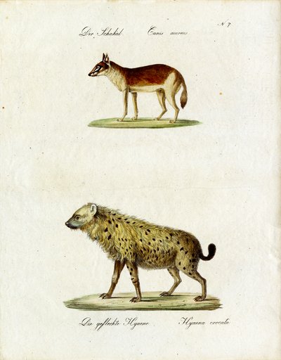  de Karl Joseph Brodtmann