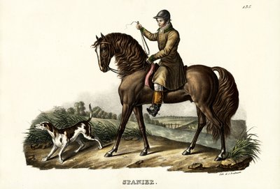 Caballo cazador español, 1824 de Karl Joseph Brodtmann