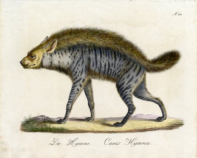  de Karl Joseph Brodtmann
