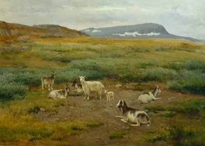 Cabras en pasto de Karl K. Uchermann