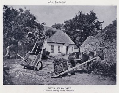 Granja irlandesa de Karl Karlovich Piratsky