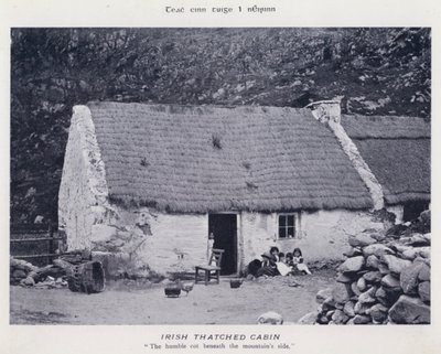 Cabaña Irlandesa con Techo de Paja de Karl Karlovich Piratsky