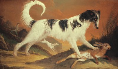 Perro y liebre de Karl Kaspar Pitz