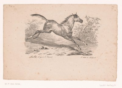 Caballo al galope en un paisaje
Caballos y jinetes (título de la serie) de Karl Loeillot Hartwig