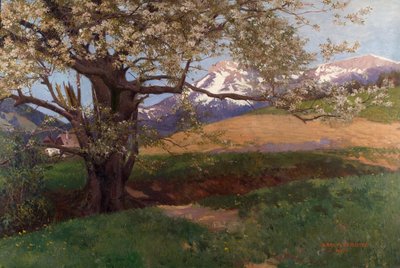 Cerezo en flor de Karl Maria Schuster
