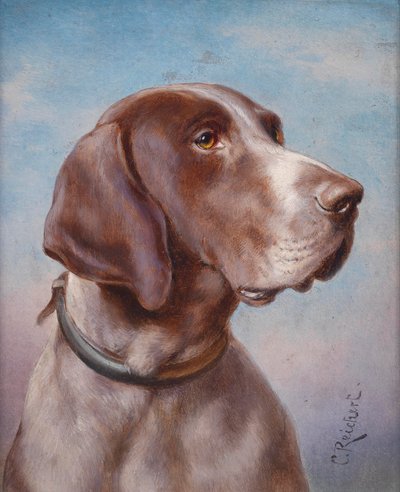 Retrato de perro de Karl Reichert