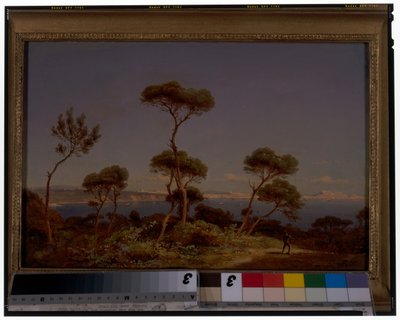Un extenso paisaje costero de Karl Robert Kummer