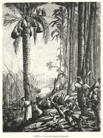 Orillas del canal de Mahmoudiyah, Egipto de Karl Wilhelm Gentz