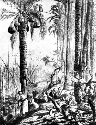 Orillas del Canal, Mahmoudiyeh, 1880 de Karl Wilhelm Gentz