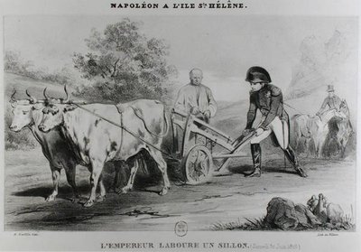 Napoleón (1769-1821) en Santa Elena, grabado por François le Villain de Karl after Loeillot Hartwig