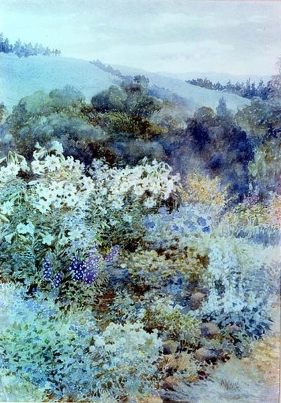 En un jardín sudafricano, c.1900-10 de Kate Haith