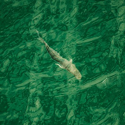 En aguas profundas (a la derecha), 2021 (foto) de Katha Wood