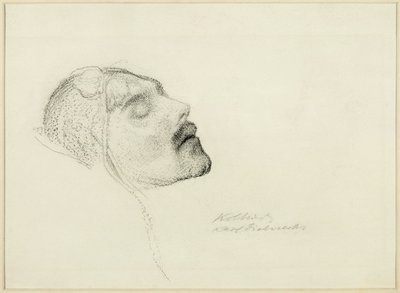  de Kathe Schmidt Kollwitz