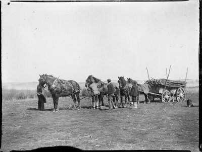 Broomfield, Broomfield And Kingswood, Maidstone, Kent, 06/04/1904 (foto en blanco y negro) de Katherine Jean Macfee