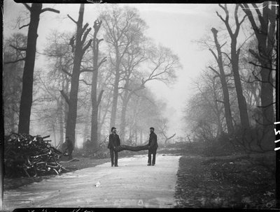 Jardines de Kensington, Hyde Park, Ciudad de Westminster, Londres, 26/01/1907 (foto en blanco y negro) de Katherine Jean Macfee