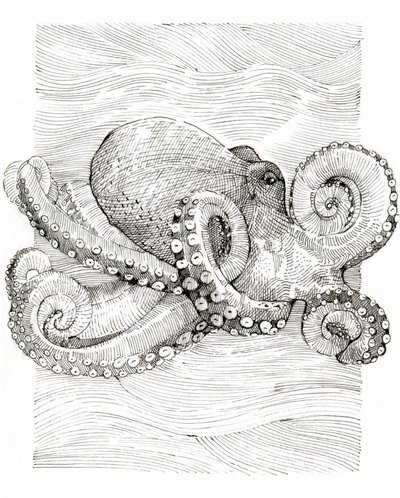  de Katie O'Shea