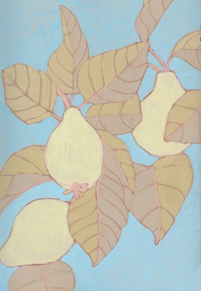  de Katie O'Shea