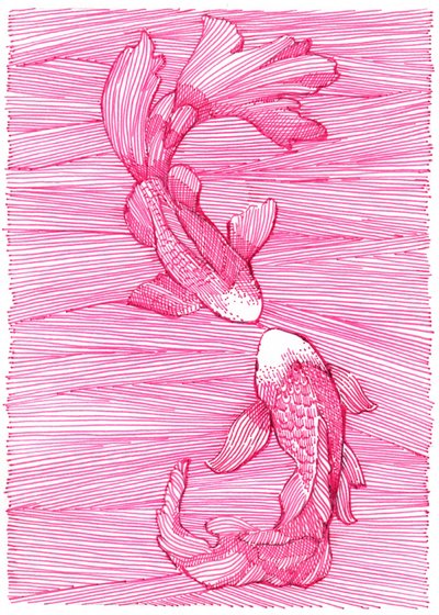  de Katie O'Shea
