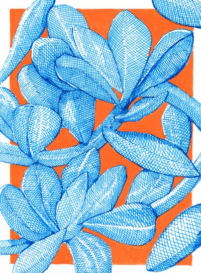  de Katie O'Shea