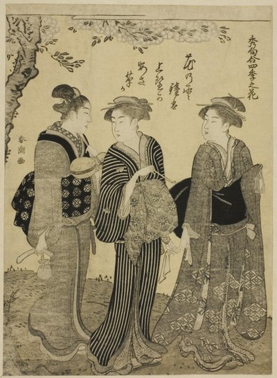 Flores de cerezo en primavera, de la serie "Las mejores odas sobre flores de las cuatro estaciones (Shuku awase, shiki no hana)" de Katsukawa Shuncho