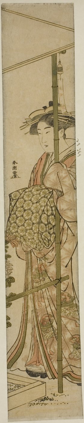 Cortesana admirando crisantemos de Katsukawa Shuncho
