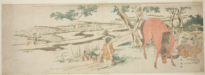 Escena rural a principios de verano: Campesinos trasplantando arroz y un hombre lavando un caballo de Katsukawa Shun